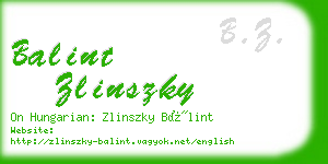 balint zlinszky business card